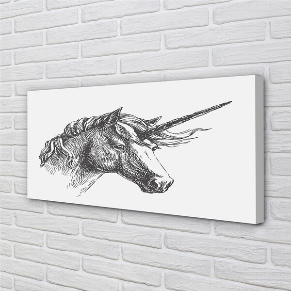 Tablouri canvas desen unicorn