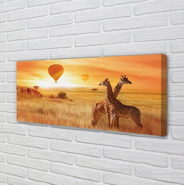 Tablouri canvas Baloane cer girafă