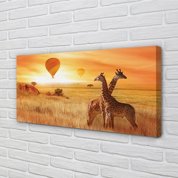 Tablouri canvas Baloane cer girafă