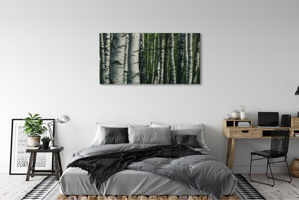Tablouri canvas pădurea de mesteacăn