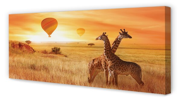 Tablouri canvas Baloane cer girafă