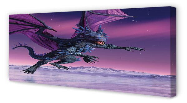 Tablouri canvas Dragon cer colorat