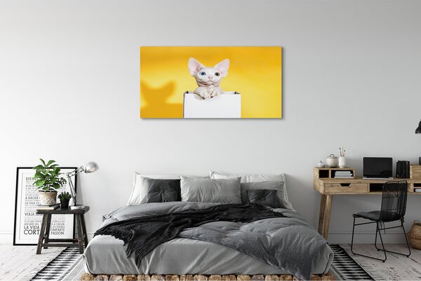 Tablouri canvas ședinței de pisică