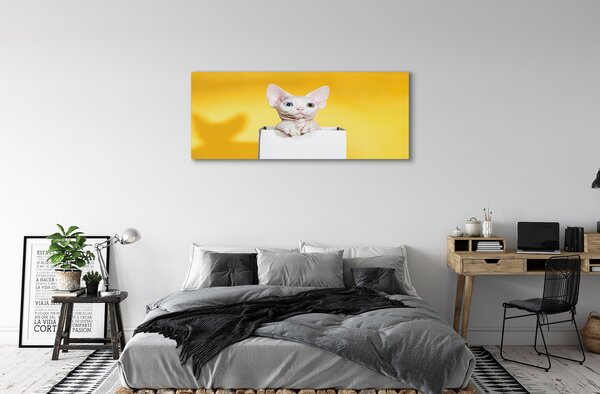 Tablouri canvas ședinței de pisică