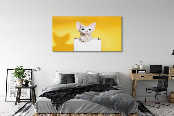 Tablouri canvas ședinței de pisică