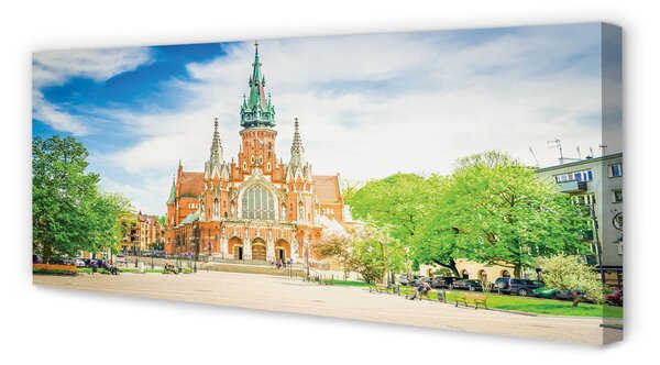 Tablouri canvas Catedrala Cracovia