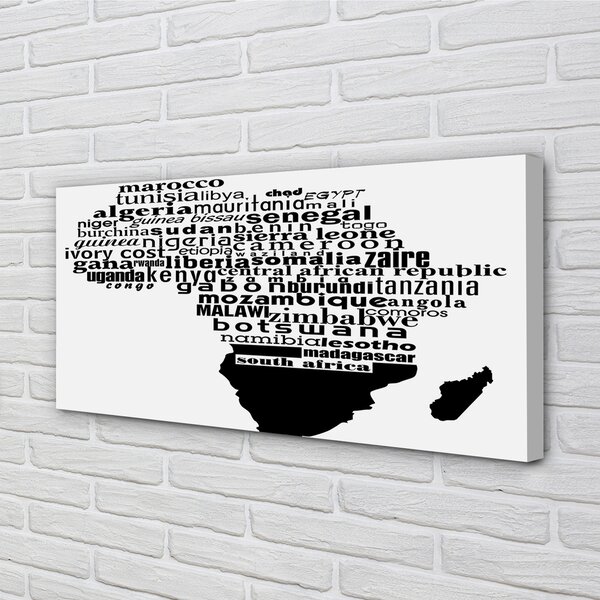 Tablouri canvas subtitrari alb-negru