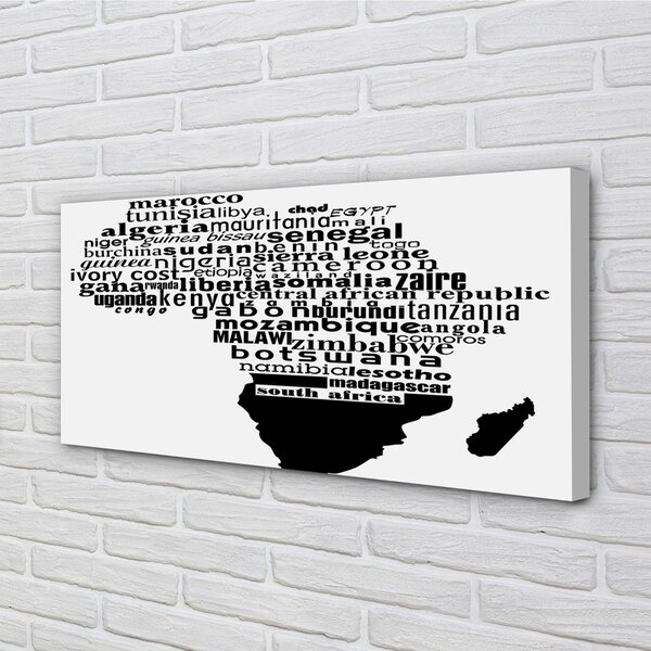 Tablouri canvas subtitrari alb-negru