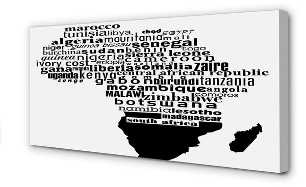 Tablouri canvas subtitrari alb-negru