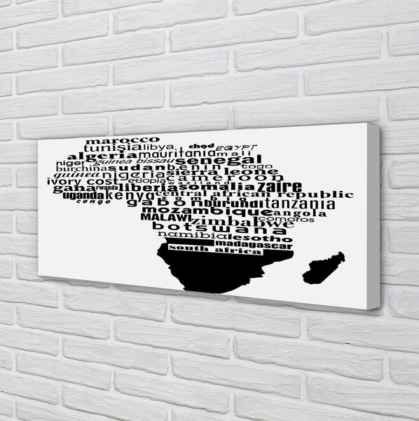 Tablouri canvas subtitrari alb-negru