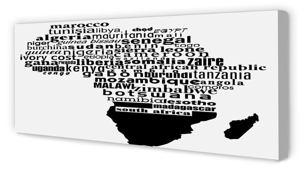 Tablouri canvas subtitrari alb-negru