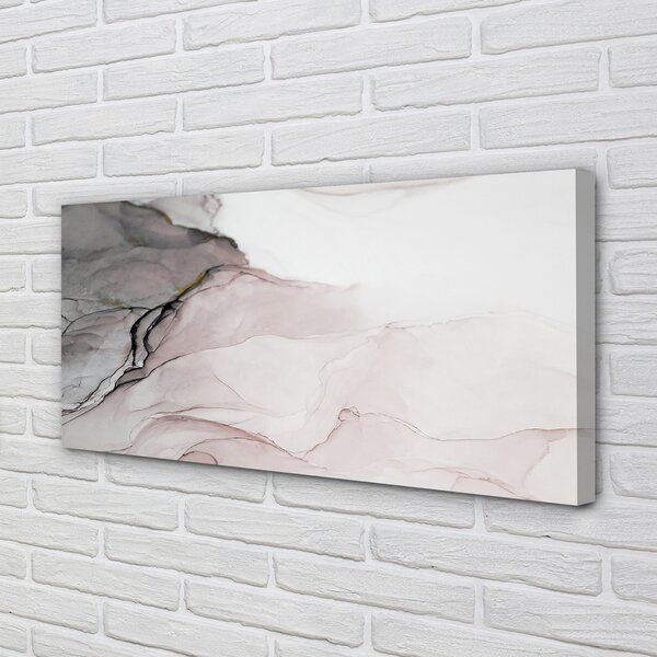 Tablouri canvas Petele de captare a pietrei