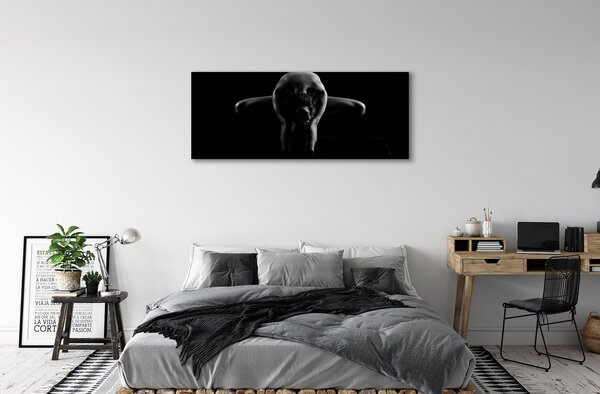 Tablouri canvas Femeie alb-negru