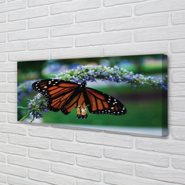 Tablouri canvas Fluture pe o floare