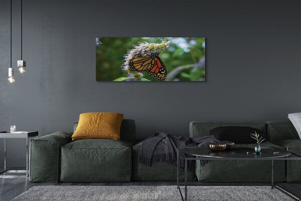 Tablouri canvas Floare fluture colorat