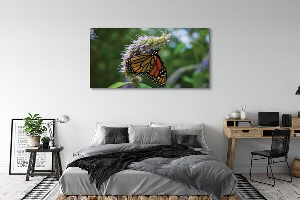 Tablouri canvas Floare fluture colorat