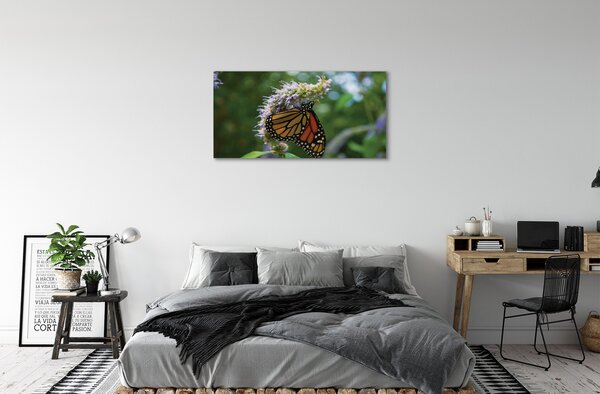 Tablouri canvas Floare fluture colorat