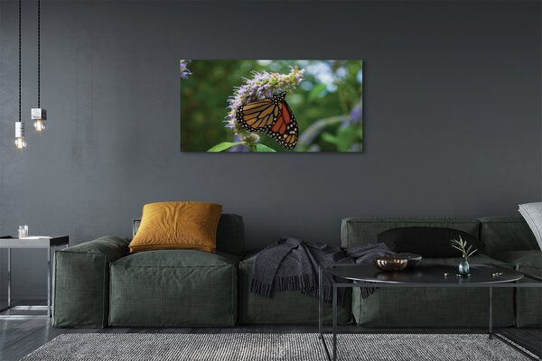 Tablouri canvas Floare fluture colorat