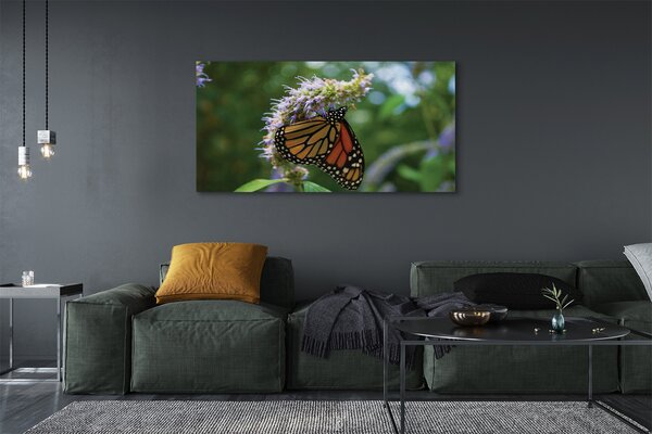 Tablouri canvas Floare fluture colorat