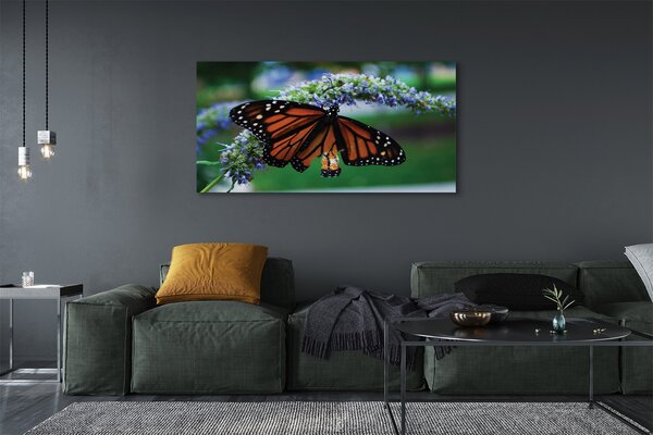 Tablouri canvas Fluture pe o floare