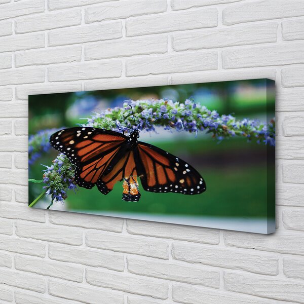 Tablouri canvas Fluture pe o floare