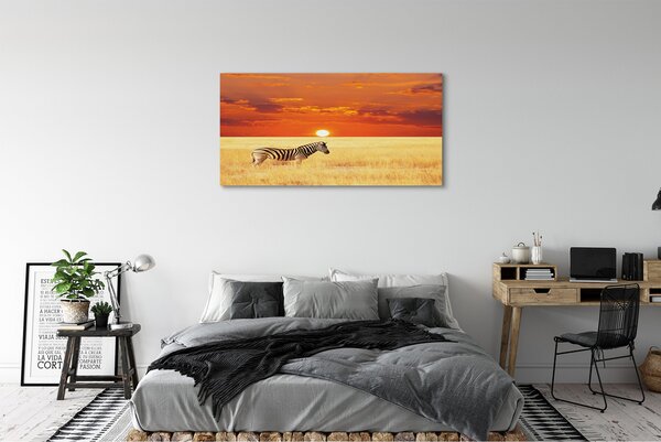 Tablouri canvas Zebra câmp apus de soare
