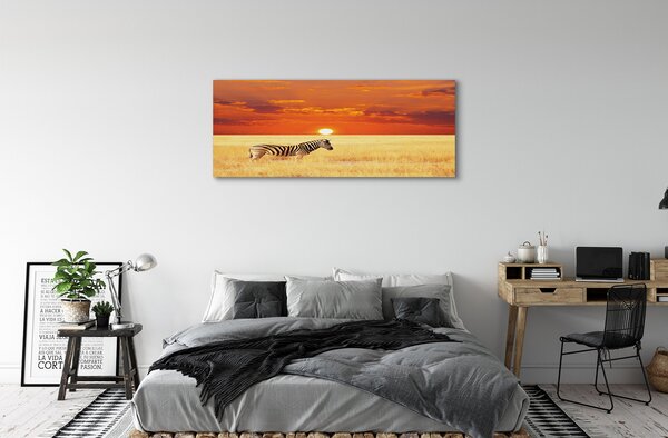 Tablouri canvas Zebra câmp apus de soare