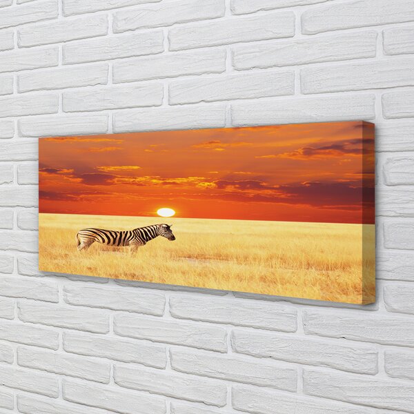 Tablouri canvas Zebra câmp apus de soare