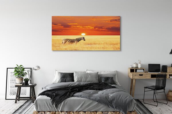 Tablouri canvas Zebra câmp apus de soare