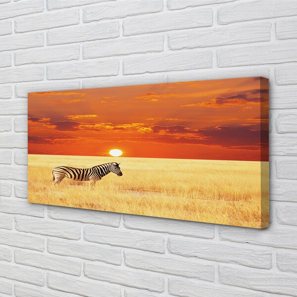 Tablouri canvas Zebra câmp apus de soare