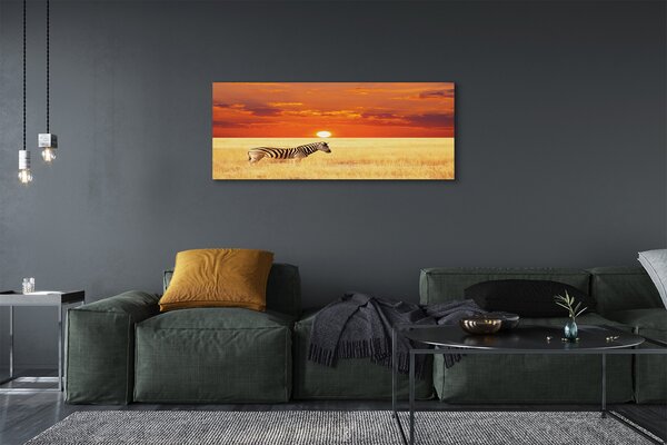 Tablouri canvas Zebra câmp apus de soare