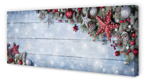 Tablouri canvas Fleacurile conuri placi