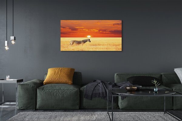 Tablouri canvas Zebra câmp apus de soare