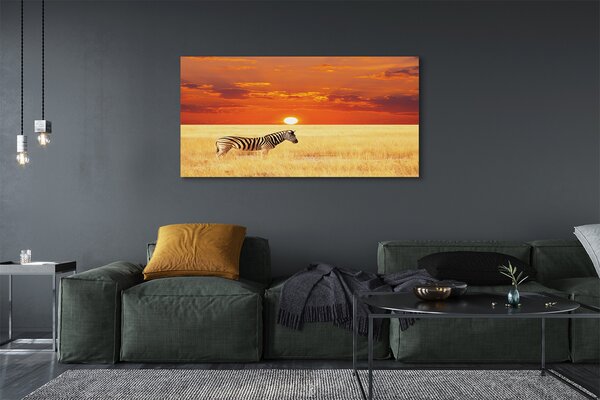 Tablouri canvas Zebra câmp apus de soare