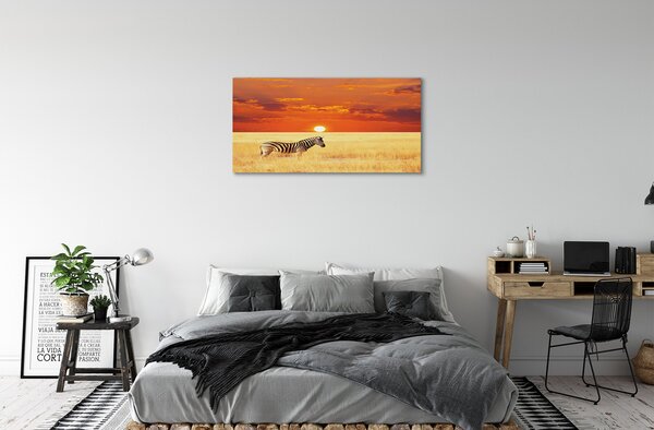Tablouri canvas Zebra câmp apus de soare