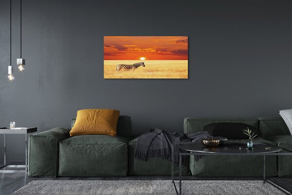 Tablouri canvas Zebra câmp apus de soare