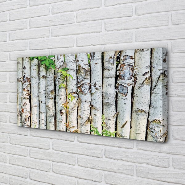Tablouri canvas frunze de mesteacan