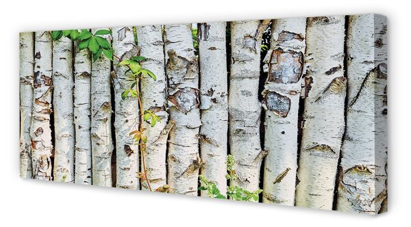 Tablouri canvas frunze de mesteacan