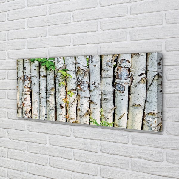 Tablouri canvas frunze de mesteacan