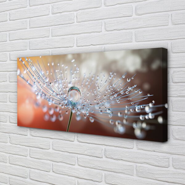 Tablouri canvas Picături păpădie macro