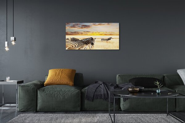 Tablouri canvas Zebre câmp apus de soare