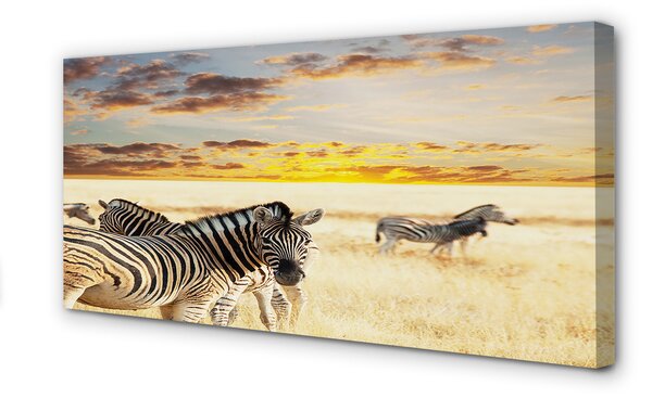 Tablouri canvas Zebre câmp apus de soare