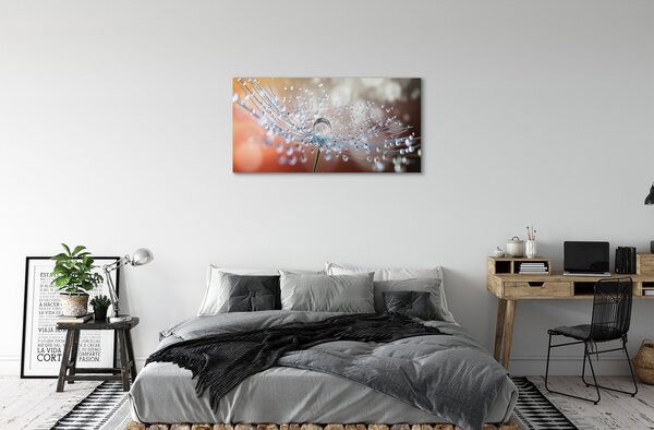 Tablouri canvas Picături păpădie macro
