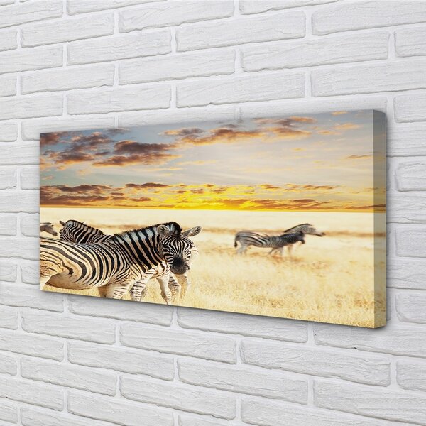 Tablouri canvas Zebre câmp apus de soare