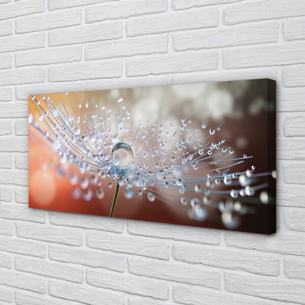 Tablouri canvas Picături păpădie macro