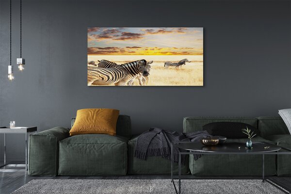 Tablouri canvas Zebre câmp apus de soare