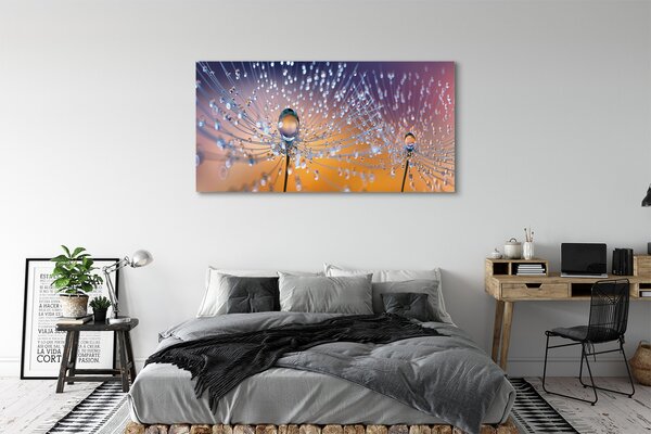 Tablouri canvas Picături păpădie macro