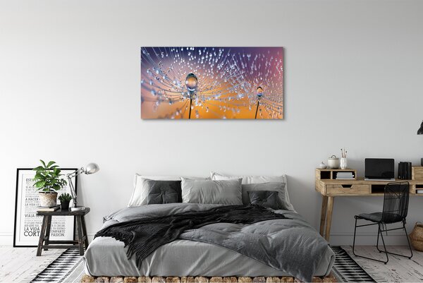 Tablouri canvas Picături păpădie macro