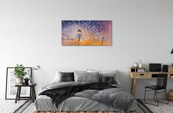 Tablouri canvas Picături păpădie macro