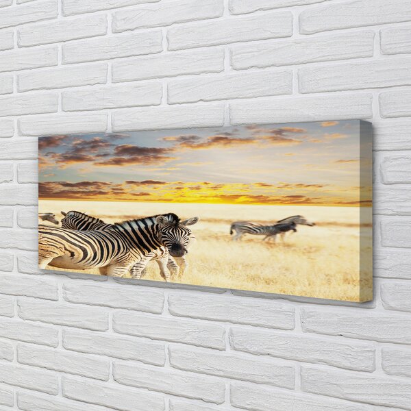 Tablouri canvas Zebre câmp apus de soare